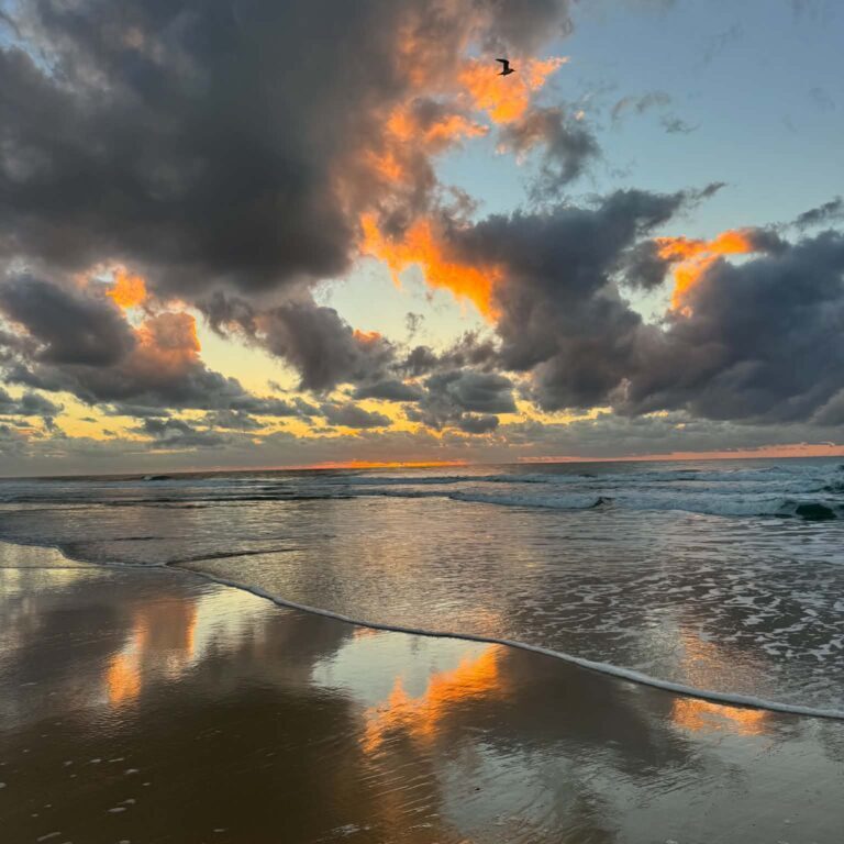 Noosa Sunrise